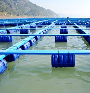 塑膠漁排設備 海洋防滑踏步板生產線 PE方管護欄生產設備